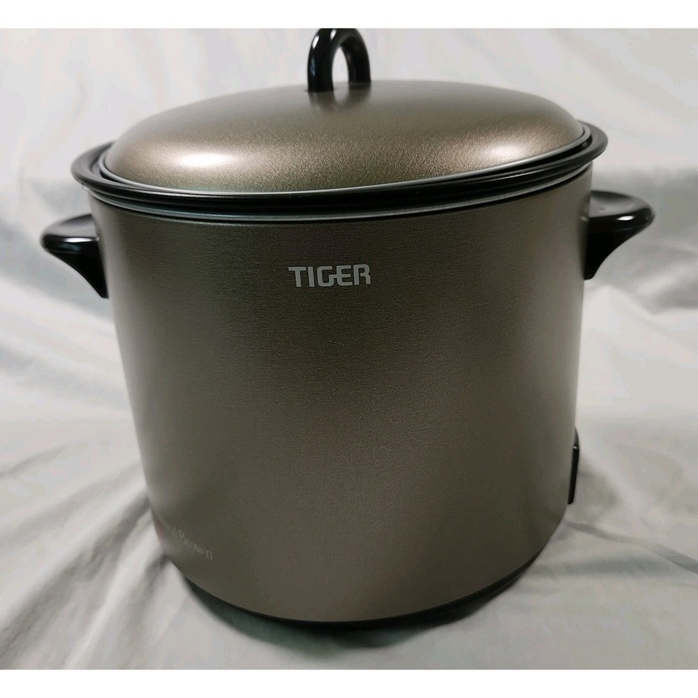 TIGER Electric Fryer CFE-A100-T Deep Fryer Washable